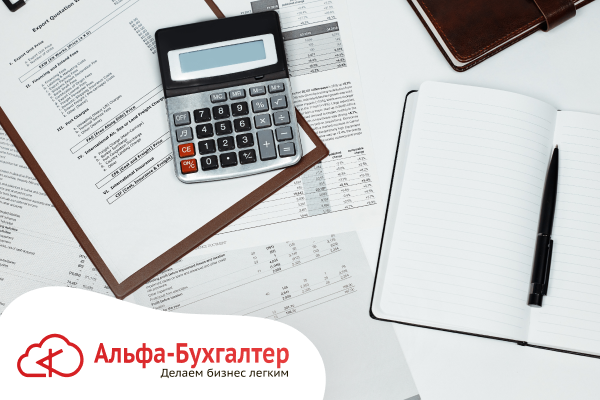 Какую отчетность сдают ИП?